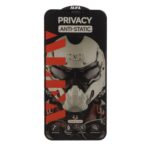 محافظ صفحه نمایش شیشه ای Full Cover ALFA Anti Static Privacy مدل Apple iPhone 11 Pro / iPhone XS / iPhone X (بدون پک)